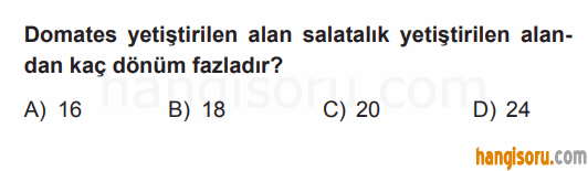 Soru 4