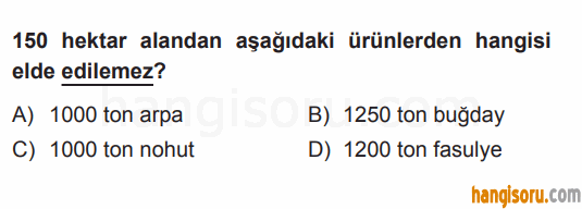 Soru 7