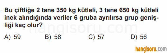 Soru 10