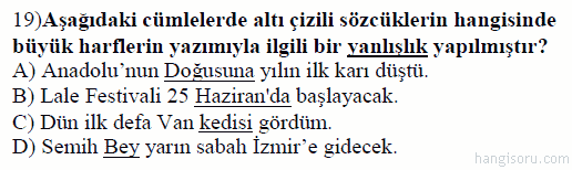 Soru 19
