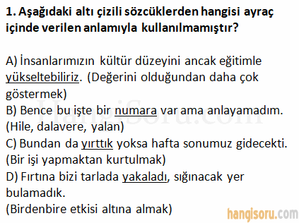 Soru 1