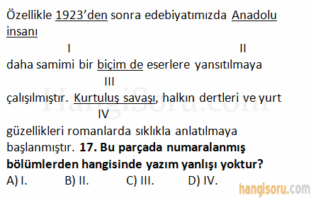 Soru 17