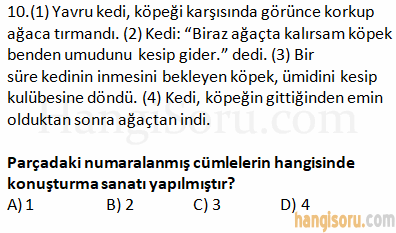 Soru 10