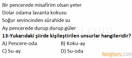 Soru 13