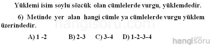 Soru 6