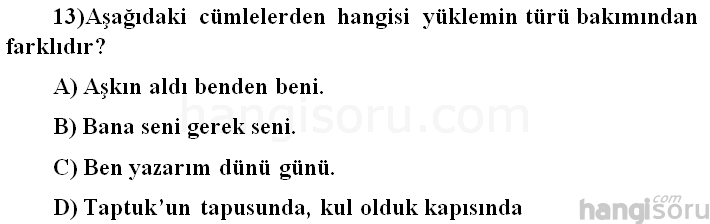 Soru 13