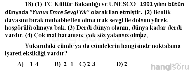 Soru 18