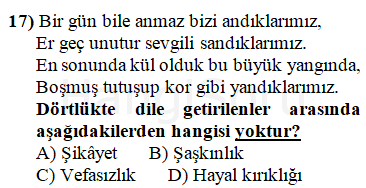 Soru 17