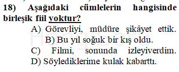 Soru 18
