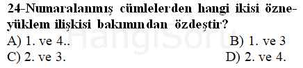 Soru 24
