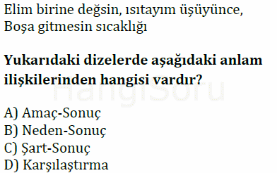 Soru 6
