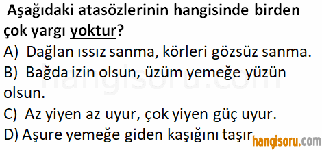 Soru 7