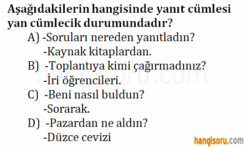 Soru 18