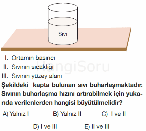 Soru 12