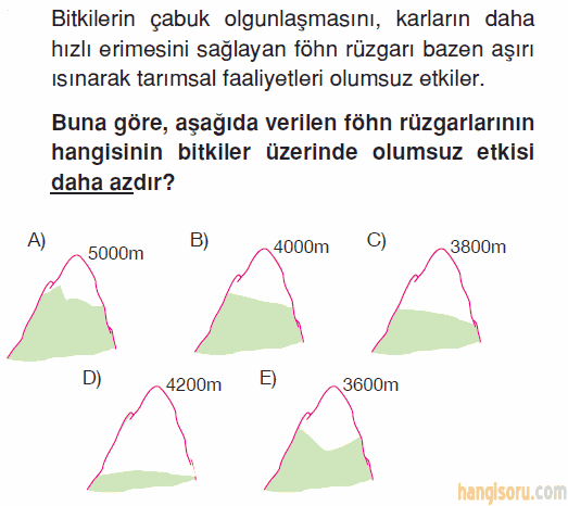 Soru 5