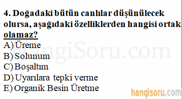 Soru 4