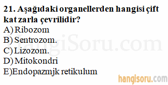 Soru 21
