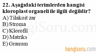 Soru 22