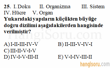 Soru 25