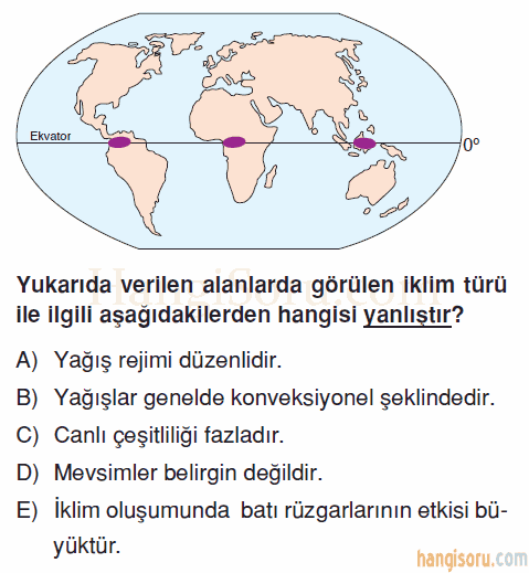 Soru 7