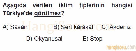 Soru 2