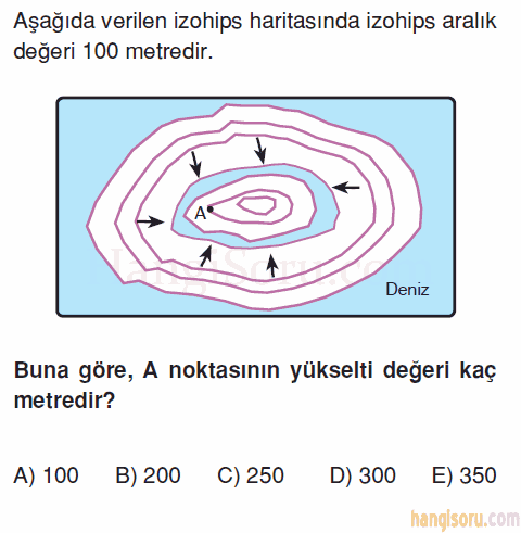 Soru 8