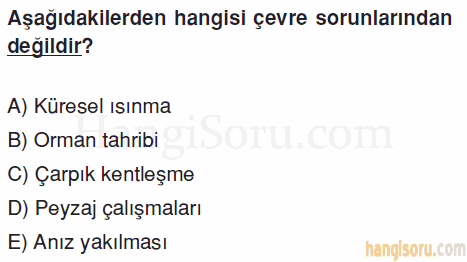 Soru 1