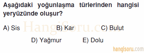 Soru 7