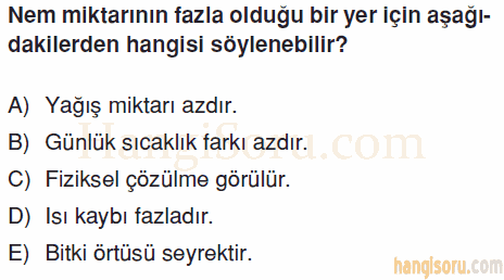Soru 12