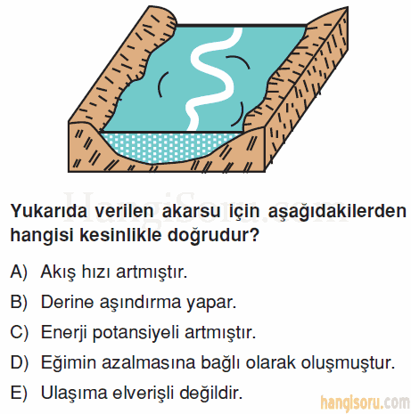 Soru 5