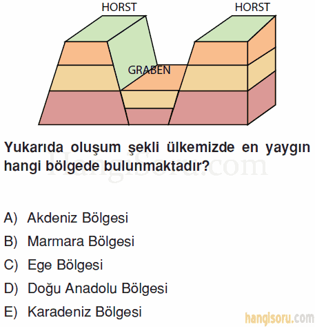 Soru 1