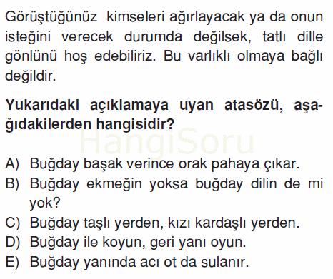 Soru 19