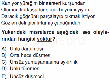 Soru 1