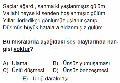 Soru 8