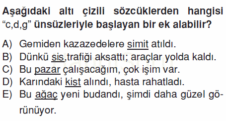 Soru 12