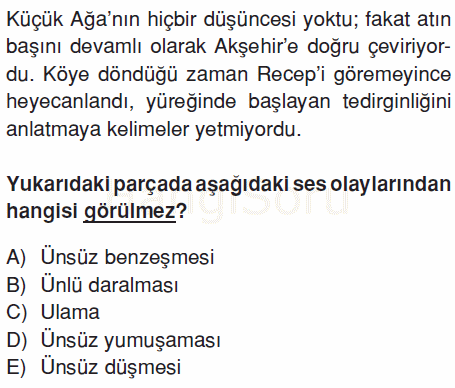 Soru 17