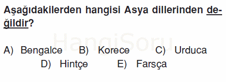 Soru 5
