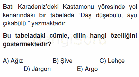 Soru 7