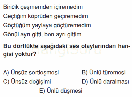 Soru 5