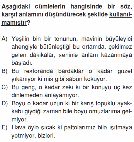 Soru 10