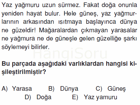 Soru 12