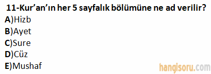 Soru 11