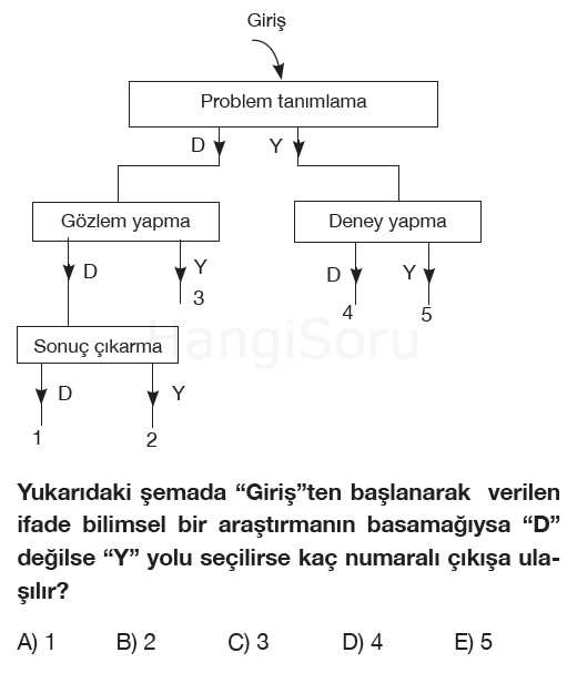 Soru 1