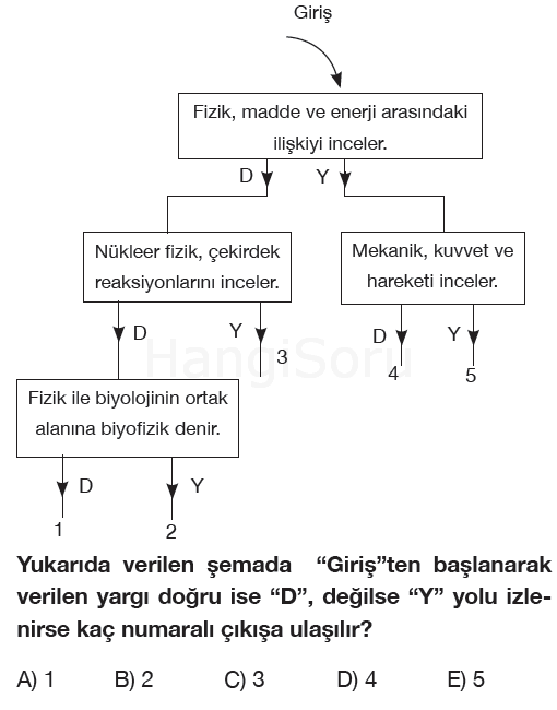 Soru 1