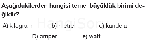 Soru 8