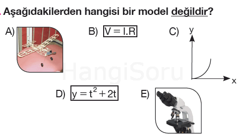 Soru 10