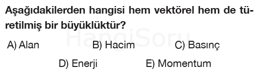 Soru 8