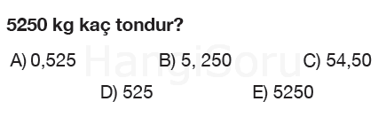 Soru 3