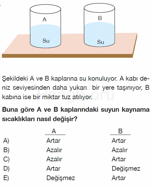 Soru 11