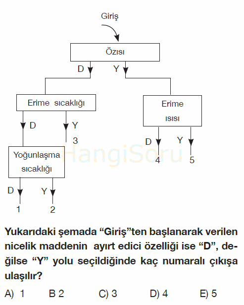 Soru 1